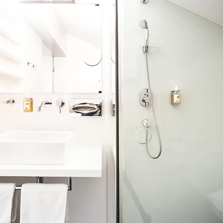 Hotel Biohotel Schwanen 4*