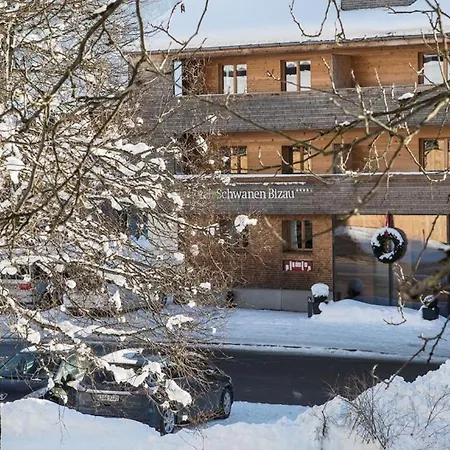 Biohotel Schwanen 酒店 4*