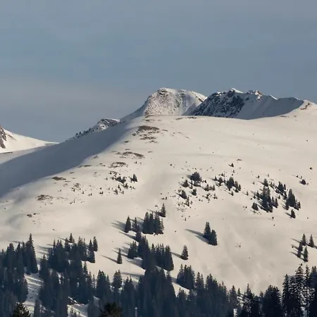 Schwanen Hotel Bizau