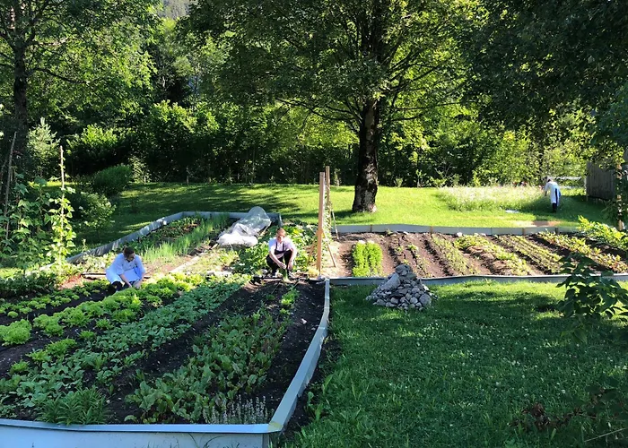 Schwanen Hotel Bizau