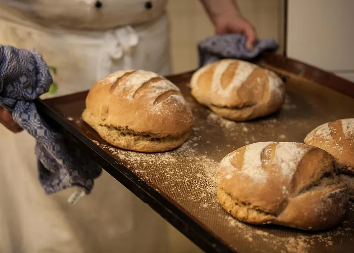 Biohotel Schwanen Hotel