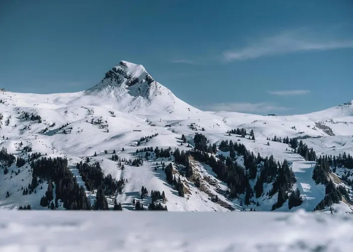 Biohotel Schwanen 4*